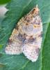 Epagoge grotiana